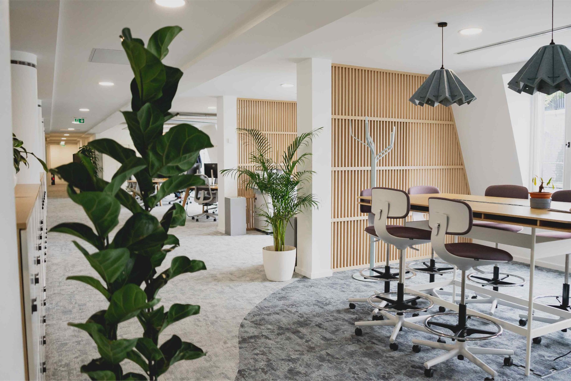 Bureau lumineux végétalisé par Respire